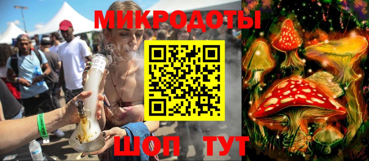 Псилоцибиновые грибы Psilocybe Кудымкар